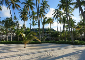 República Dominicana captó casi la mitad de la inversión extranjera del Caribe en el 2019