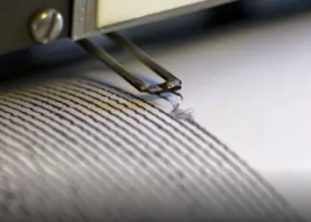 Sismo de 8,1 grados se registra cerca de Nueva Zelanda; emiten alerta de tsunami