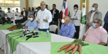 Empresarios e Inespre compran 55 mil quintales de zanahoria a productores de Constanza