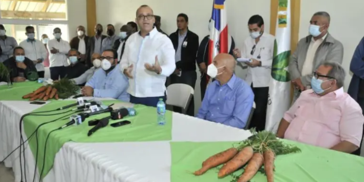 Empresarios e Inespre compran 55 mil quintales de zanahoria a productores de Constanza