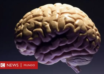 Cómo la menstruación cambia el cerebro de las mujeres (para bien)