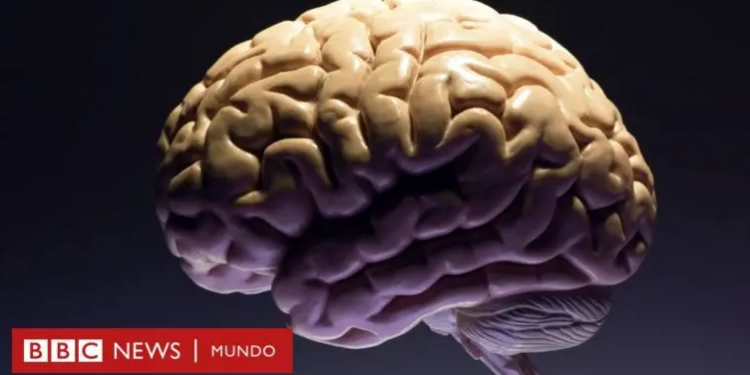 Cómo la menstruación cambia el cerebro de las mujeres (para bien)