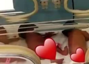 Nonillizos por sorpresa: la mujer que dio a luz a 9 bebés