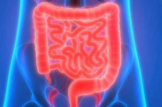 El 80 % de pacientes con enfermedad celíaca no sabe que la padece