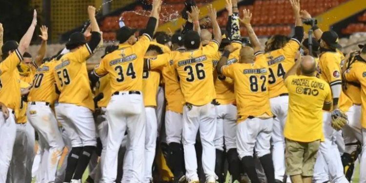 Torneo béisbol RD será recortado a 40 juegos