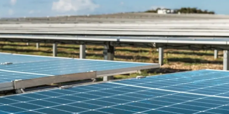 Girasol es el mayor parque solar de República Dominicana