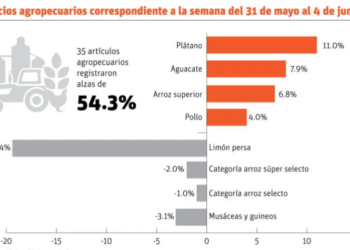 Productores abogan reformas sector agrícola ante las alzas