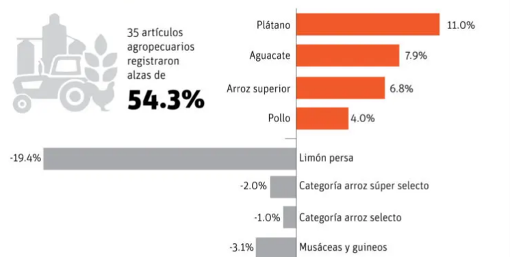 Productores abogan reformas sector agrícola ante las alzas