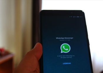 Quienes usen WhatsApp podrán ocultar que están «en línea»