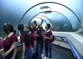 Gobierno encarga a una comisión para impulsar el remozamiento del Acuario Nacional