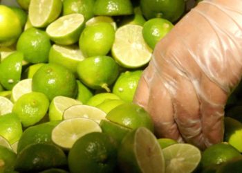 Bajan de precio 21 productos agropecuarios en mayo; el limón disminuye 30.3 %