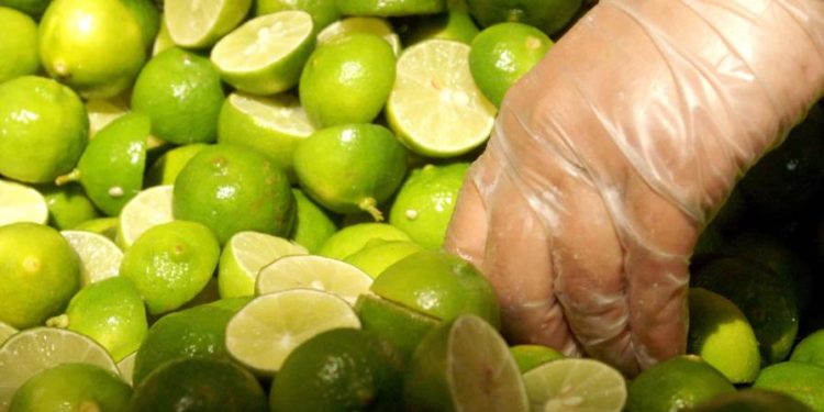 Bajan de precio 21 productos agropecuarios en mayo; el limón disminuye 30.3 %